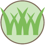 Allentown Lawn Mowing