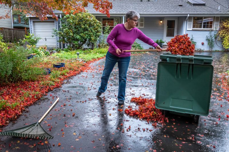 Preparing the Garden Bed