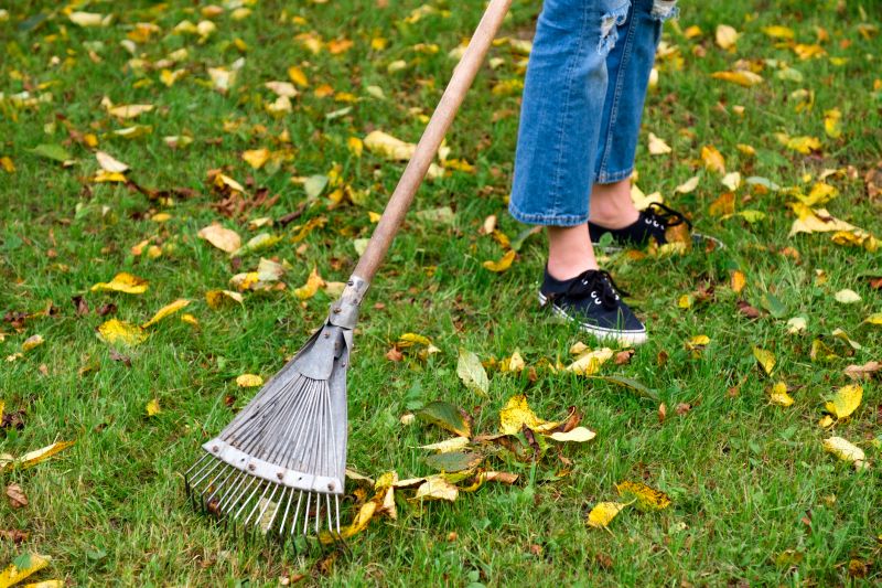Fall Leaf Removal Tools