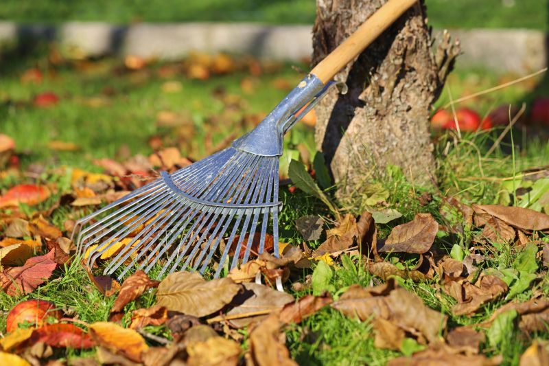 Leaf Raking Techniques