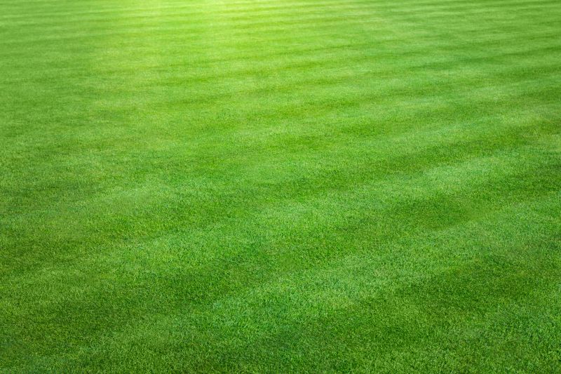 Lawn Maintenance detail