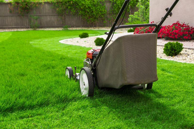 Lawn Mowing in Spring