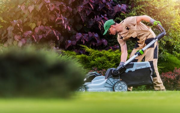 Cost of Lawn Care And Maintenance in Allentown