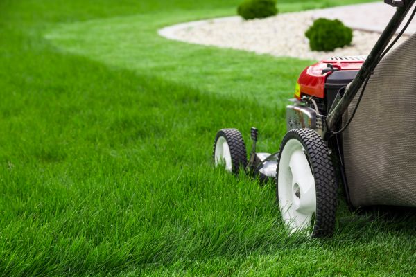 Cost of Mowing Service in Allentown