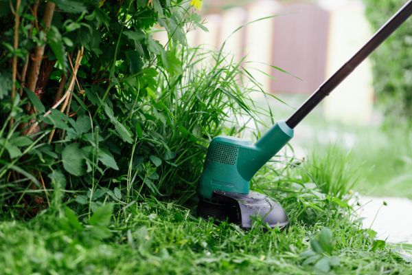 Cost of Weed Whacking in Allentown