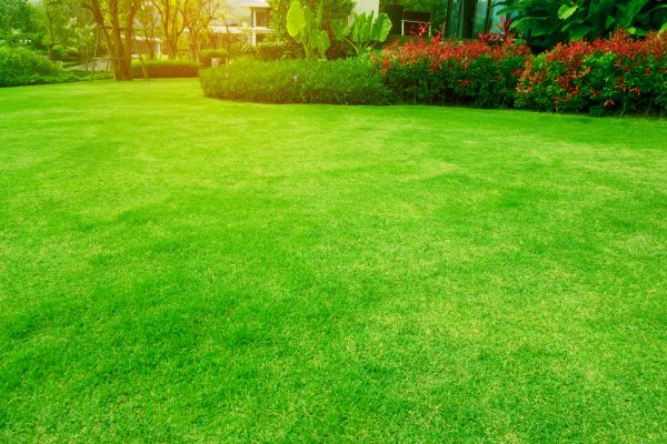 Cost of Grass Maintenance in Allentown