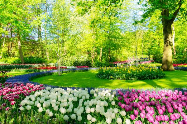 Cost of Spring Lawn Care in Allentown