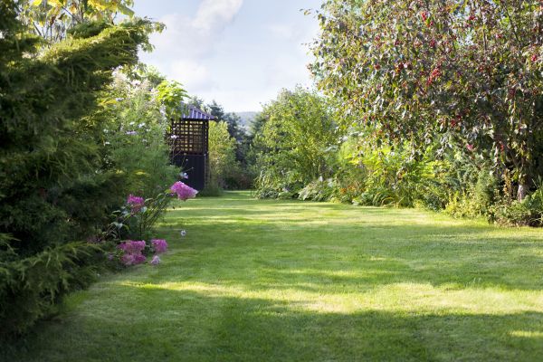 Cost of Yard Upkeep Service in Allentown