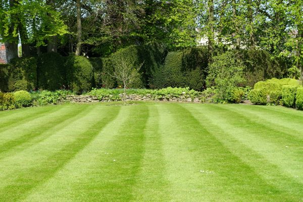 Cost of Grass Care Service in Allentown