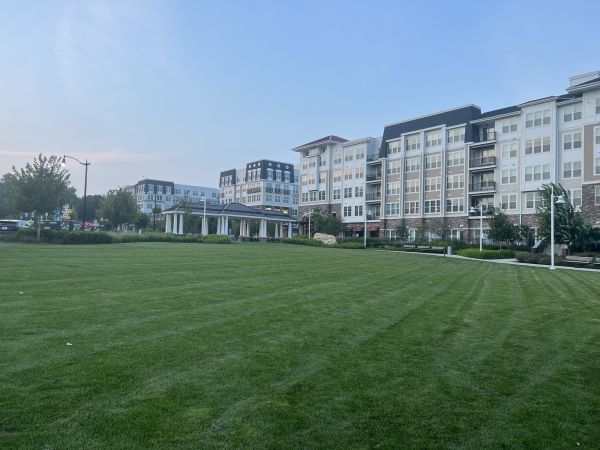 Cost of Urban Lawn Care in Allentown