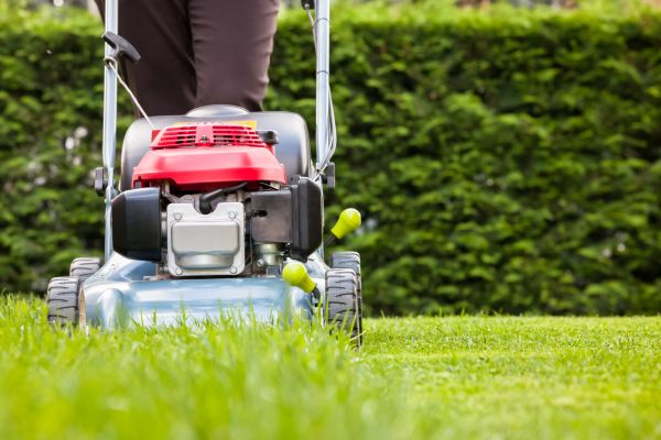 Cost of Grass Trimming Service in Allentown