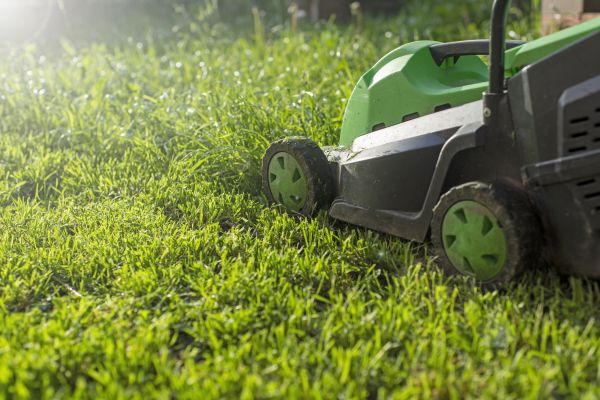 Cost of Lot Mowing in Allentown
