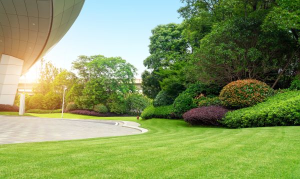 Business Groundskeeping in Allentown