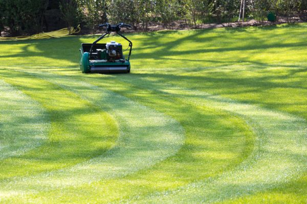 Business Lawn Mowing in Allentown