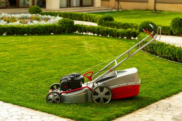 Business Grass Cutting Service
