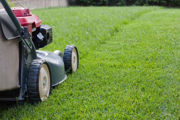 Cost of Spring Lawn Maintenance in Allentown