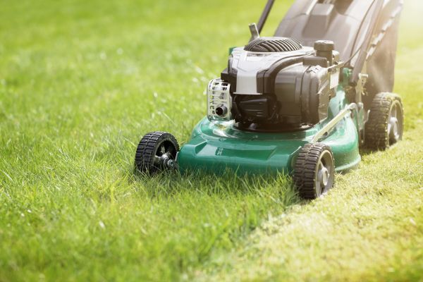 Cost of Spring Grass Trimming in Allentown